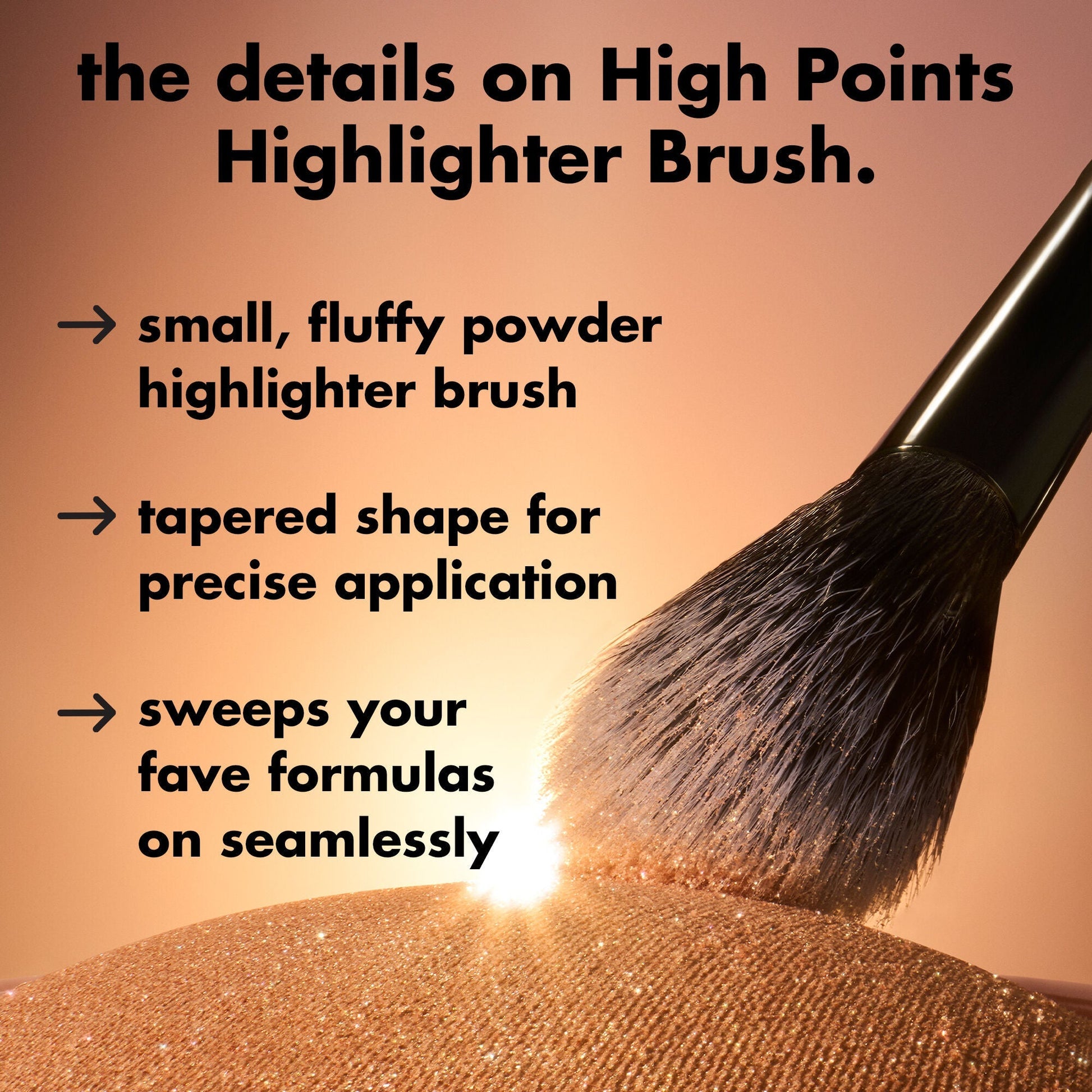 high-points-highlighter-brush-o9 0226_EDU_HighpointsHighlighterBrush_Details.jpg