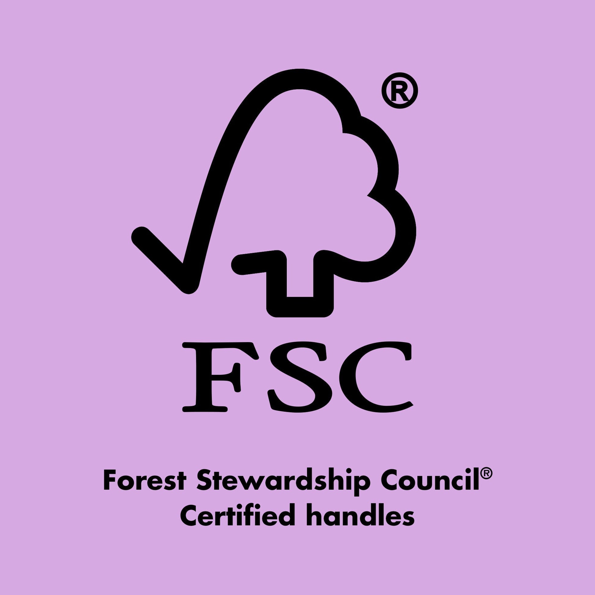 ten-out-of-ten-brush-kit-b8 0423_EDUCATION_FSC_EVERGREEN.jpg