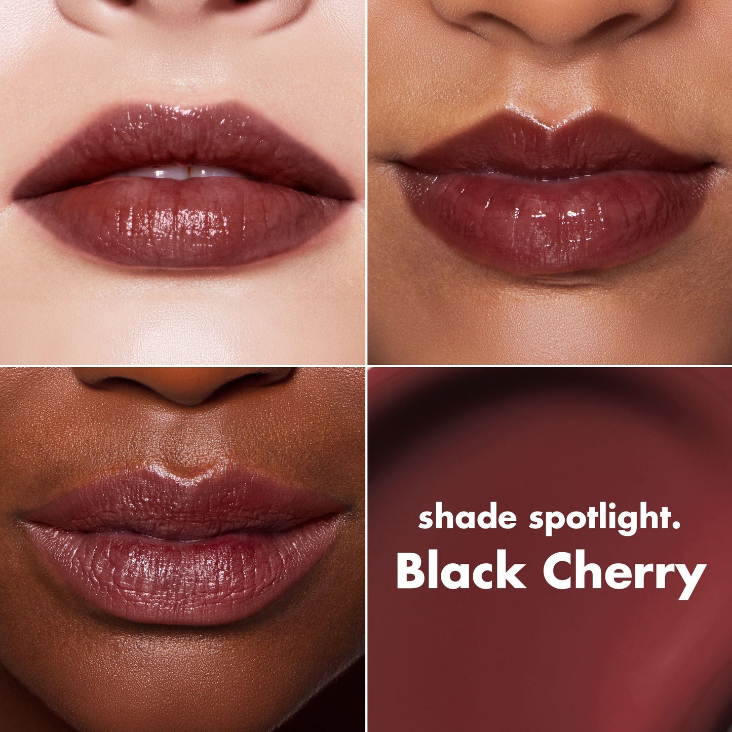 lip-lacquer-f7 0426_EDU_LipLaquer_ShadeChart_BlackCherry.jpg